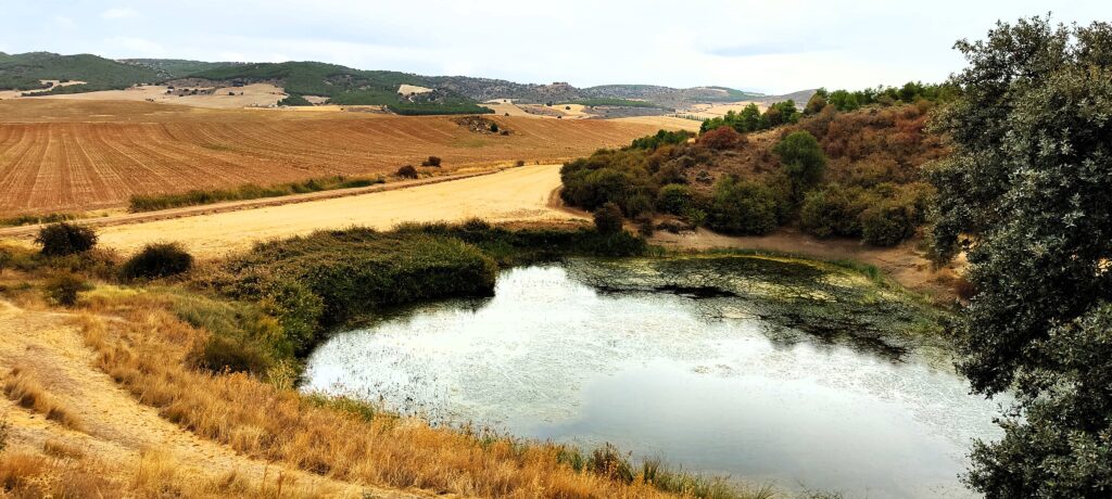 Paisaje y paisanaje del río Moscas