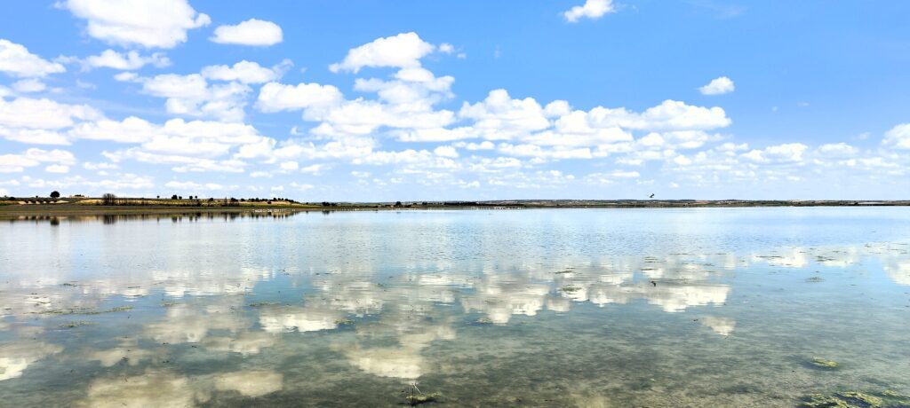 Art_Manjavacas-1-1024x460