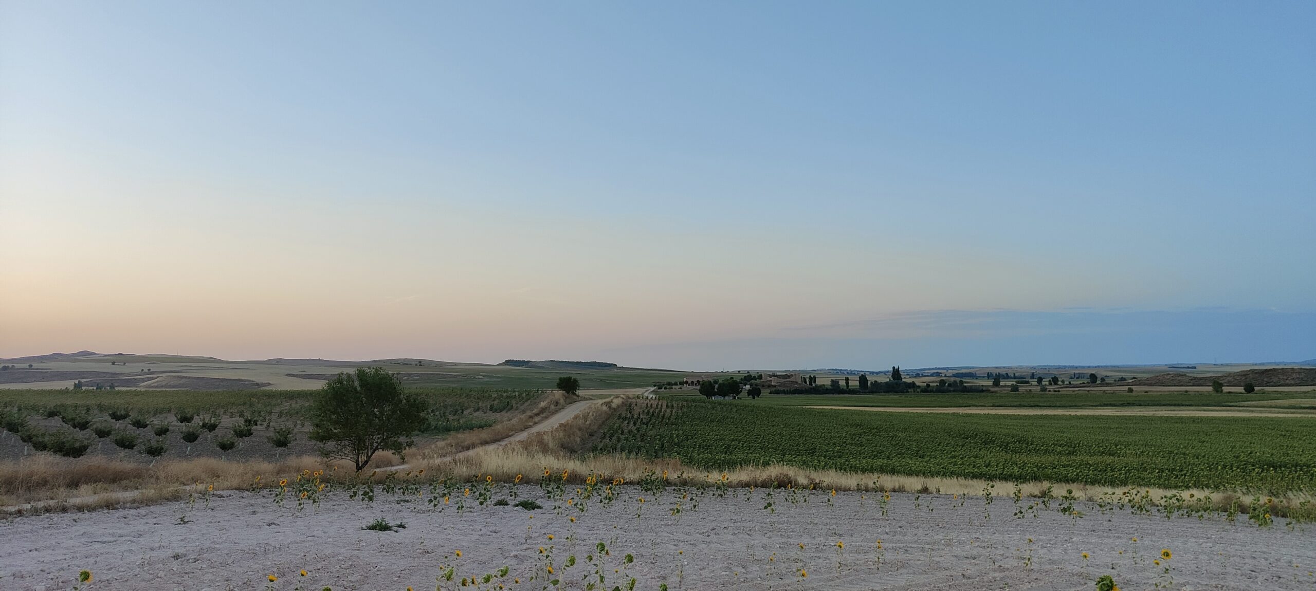 Panorámica desde la fuente de la Rinconada