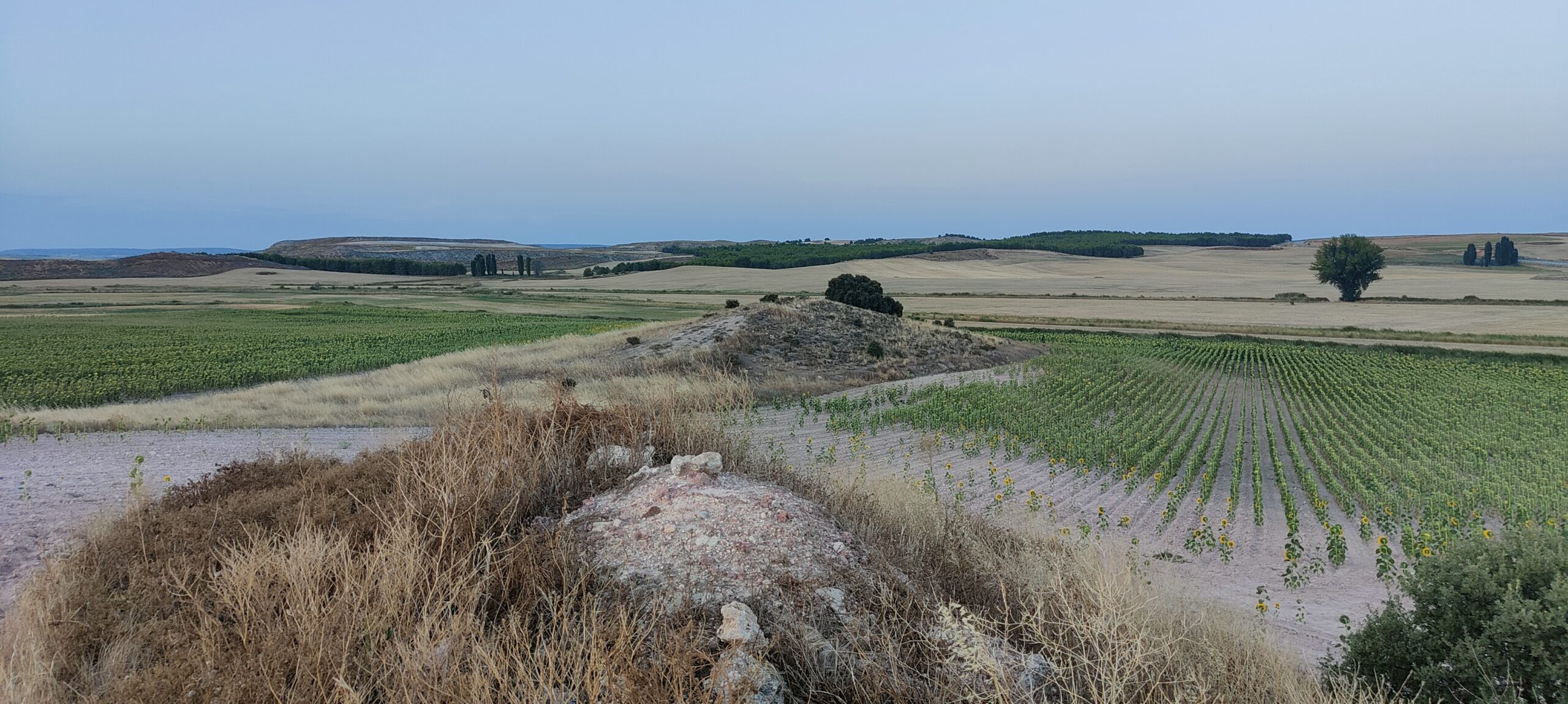 Fuente de la Rinconada