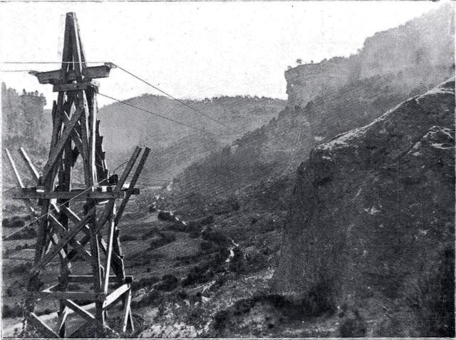 Huellas-de-la-explotacion-forestal_5