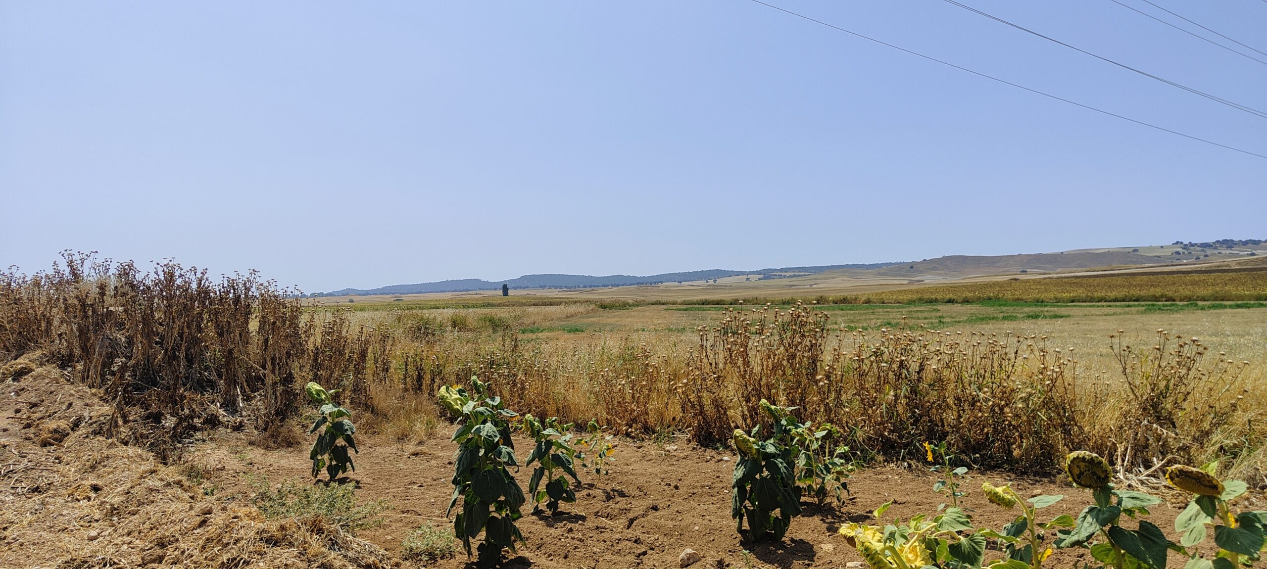 Pozo de la Miera 2