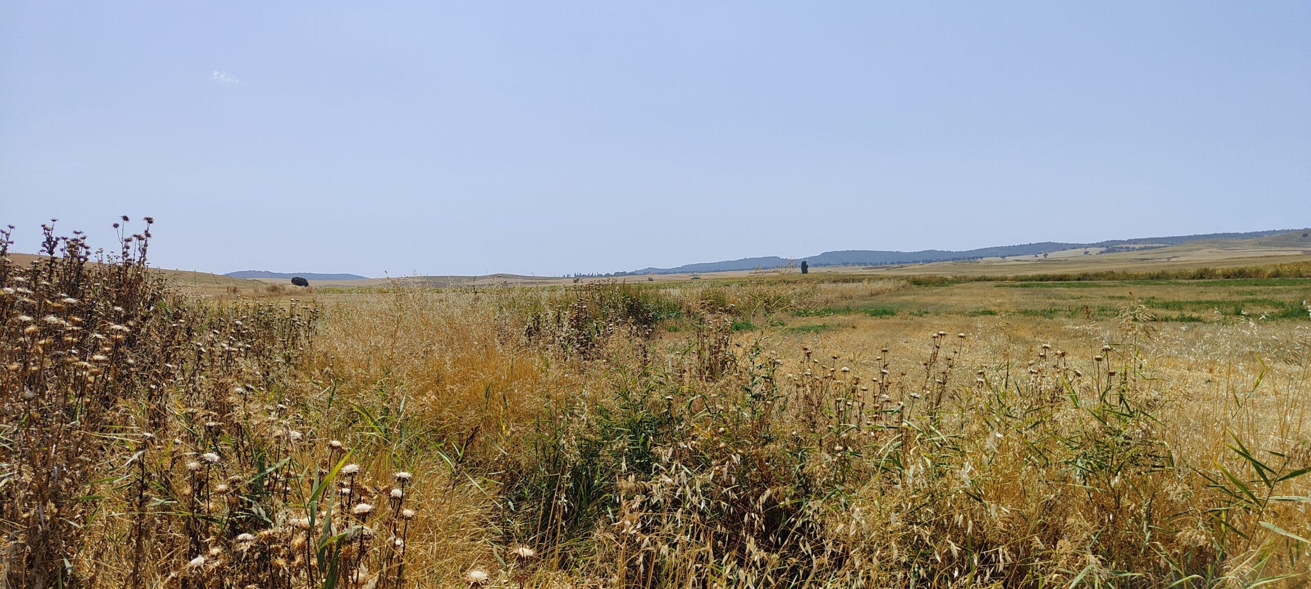 Pozo de la Miera 1
