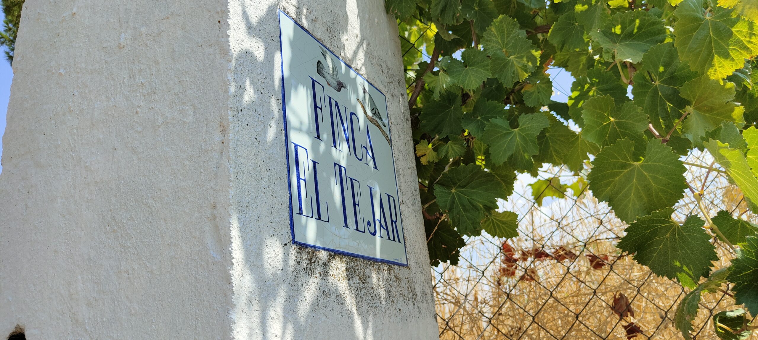 El Tejar 1