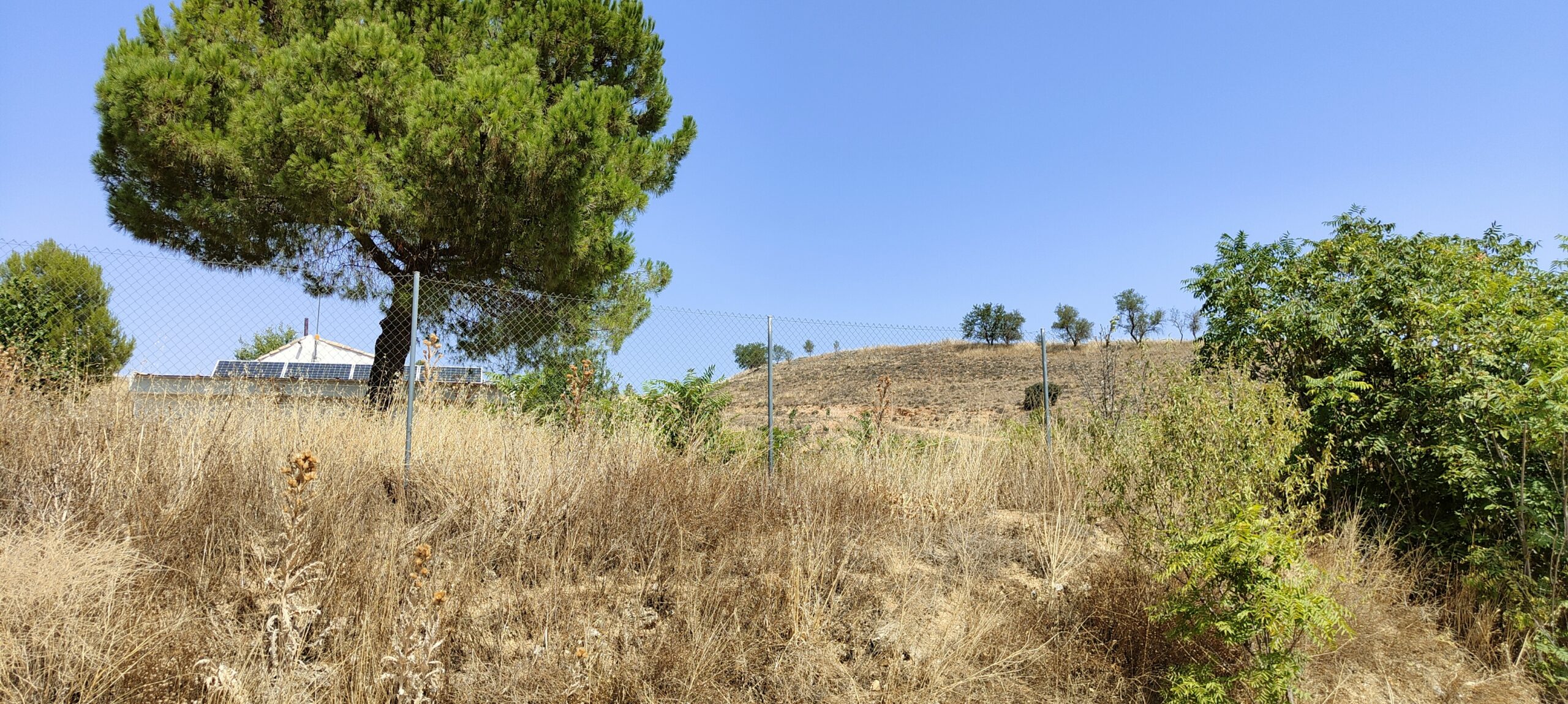 El Tejar 2
