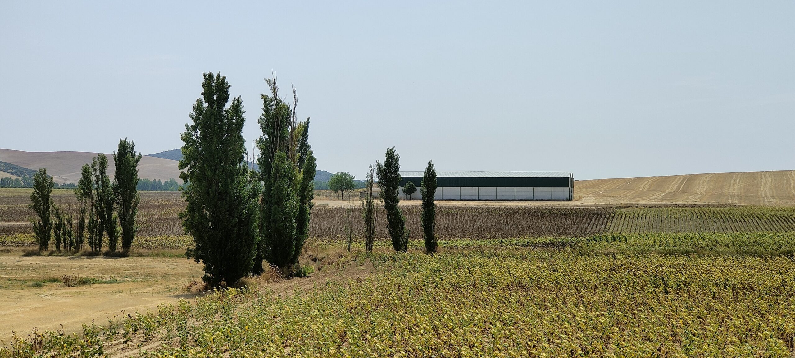 Molino del Cubo