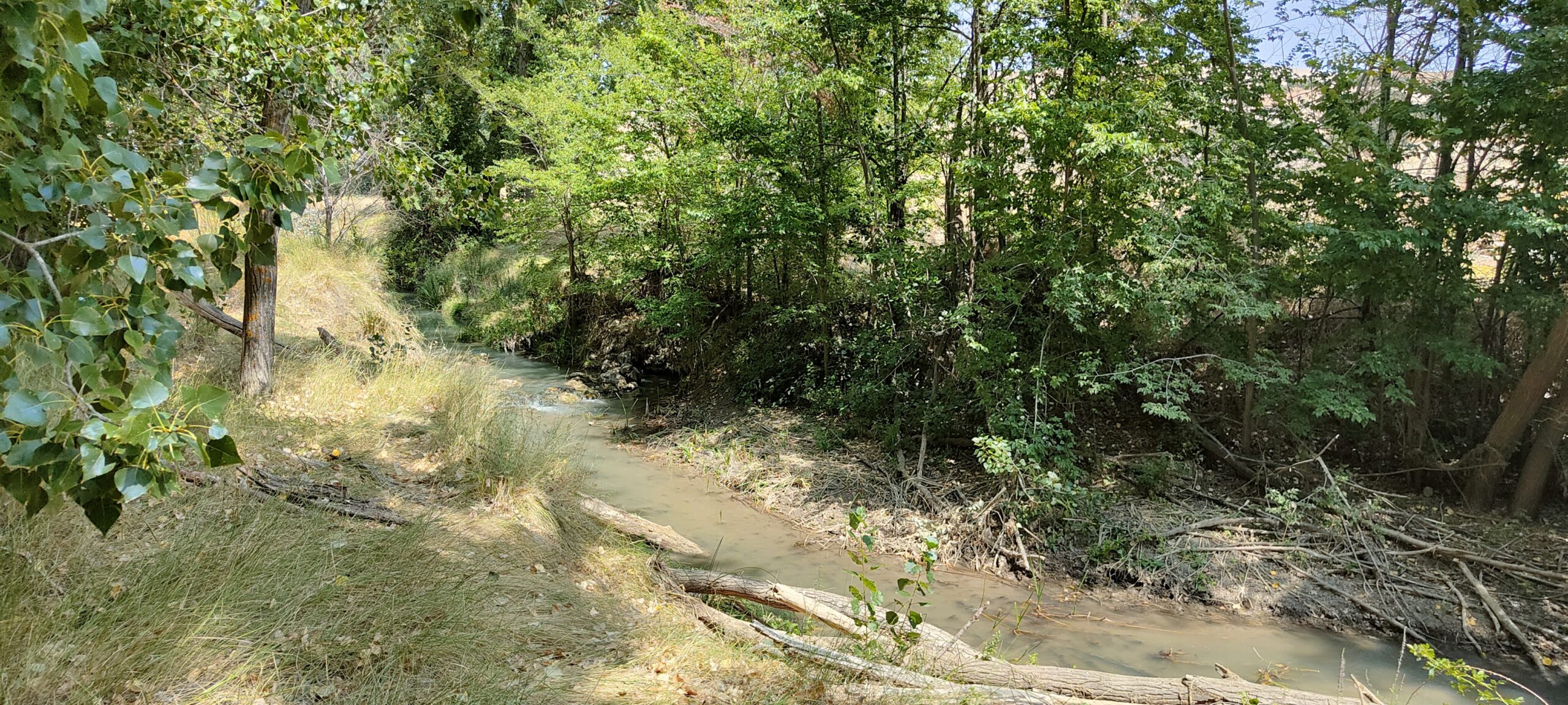 Molino de la Granja 2