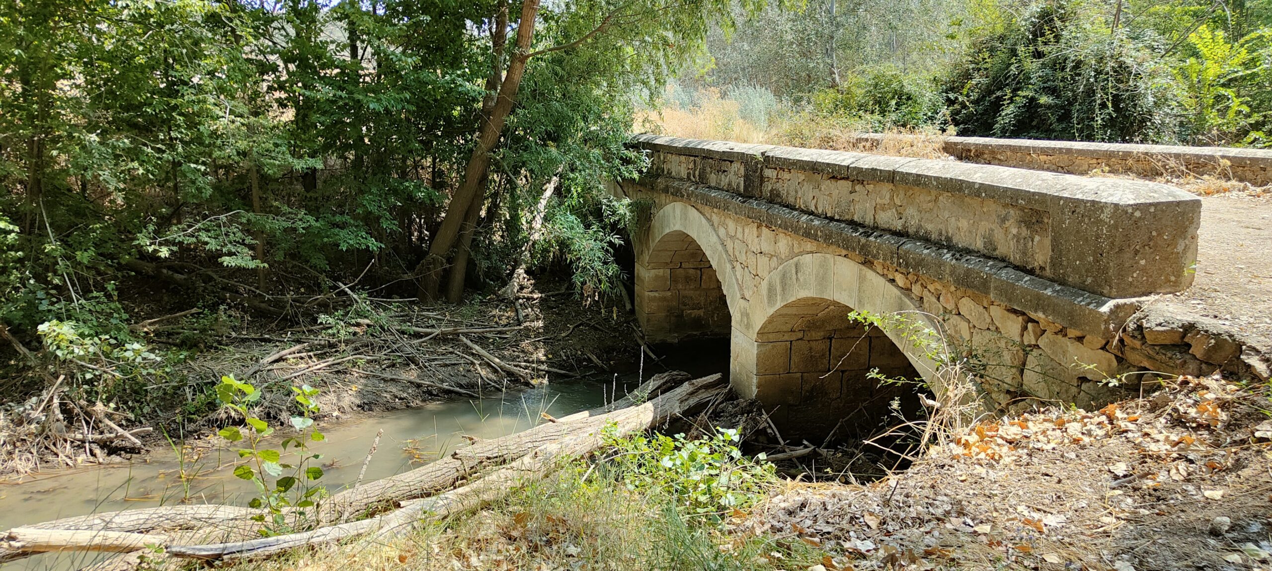 Záncara a su paso por el Molino de la Granja 3