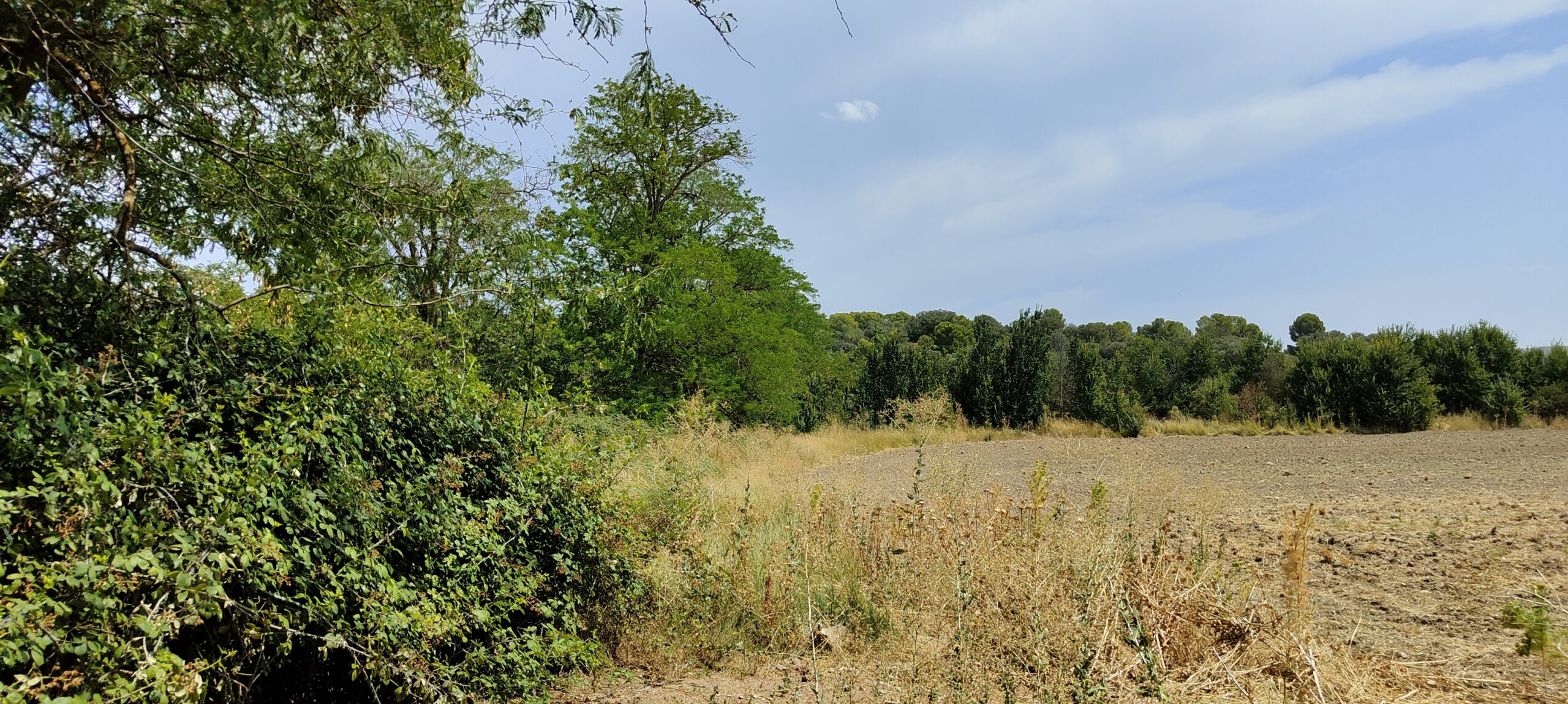 Molino de Don Juan 1