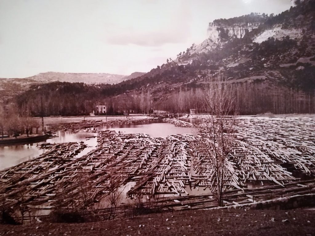 Maderada-en-la-Laguna-de-Una-buena-1024x768