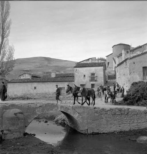 Rio Moscas_Fuentes_Antigua