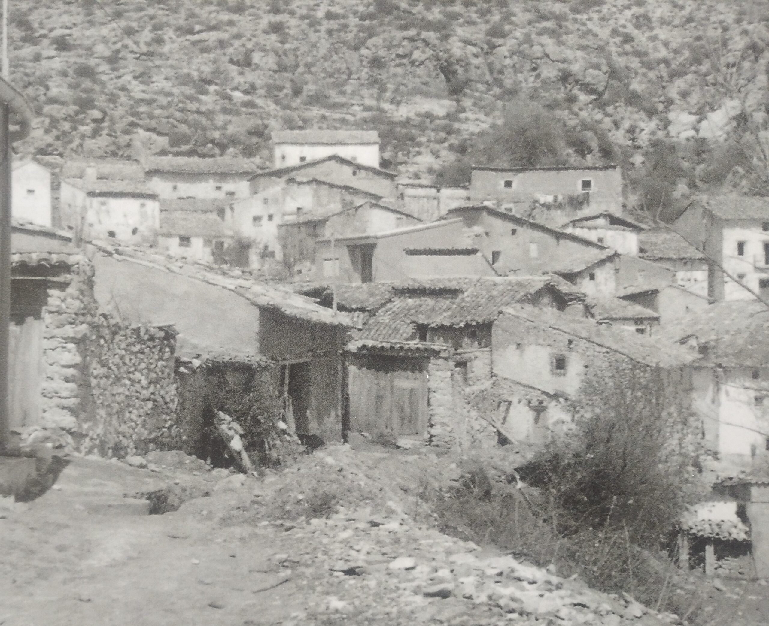 antigua_articulo_77