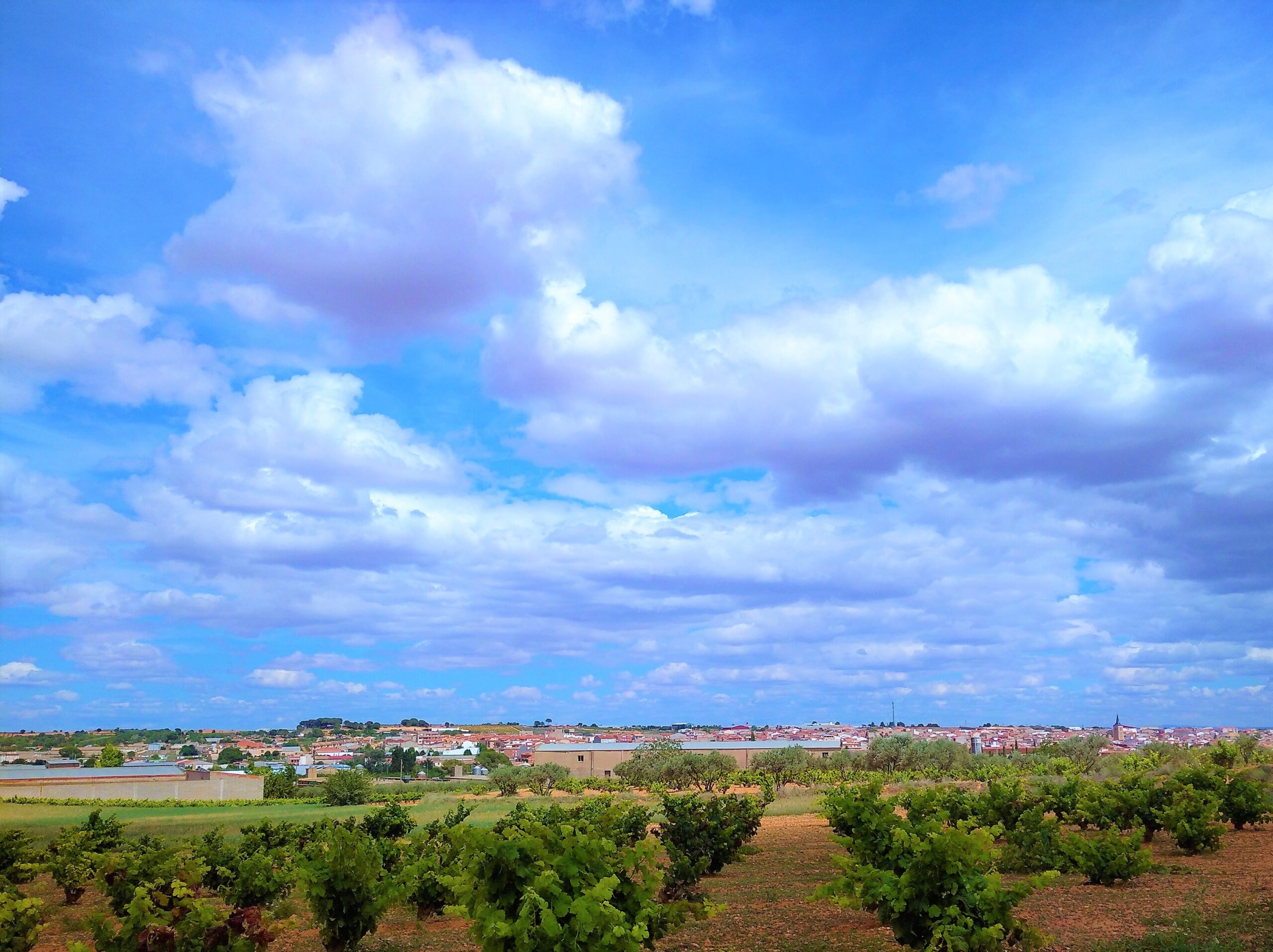 fotoart7