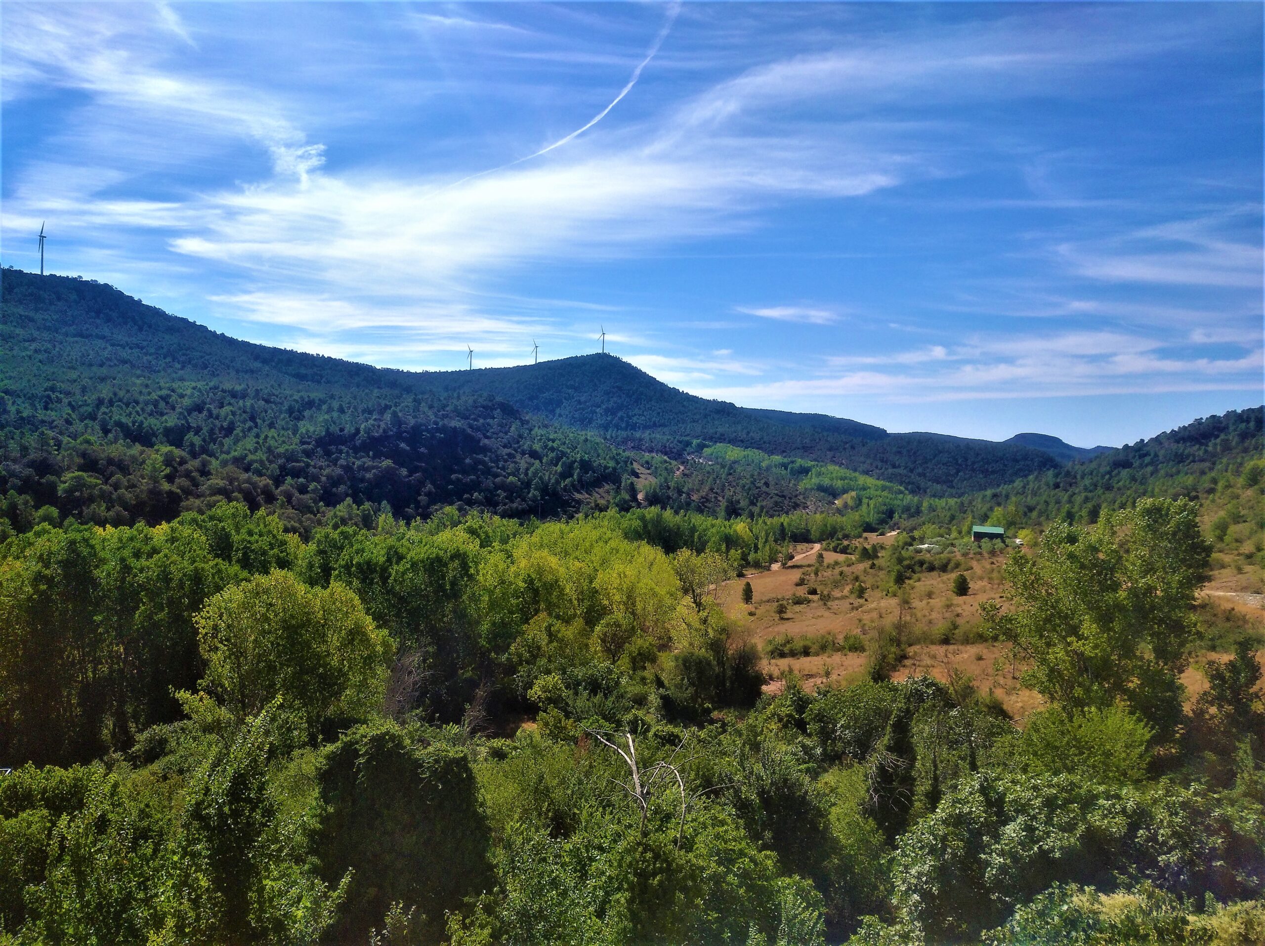 montes de san martin_art_2