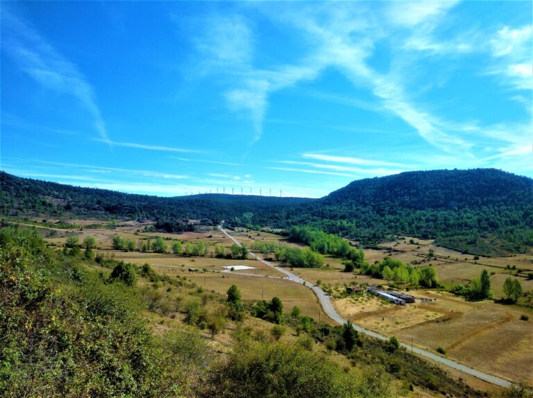 Vega del río San Martín